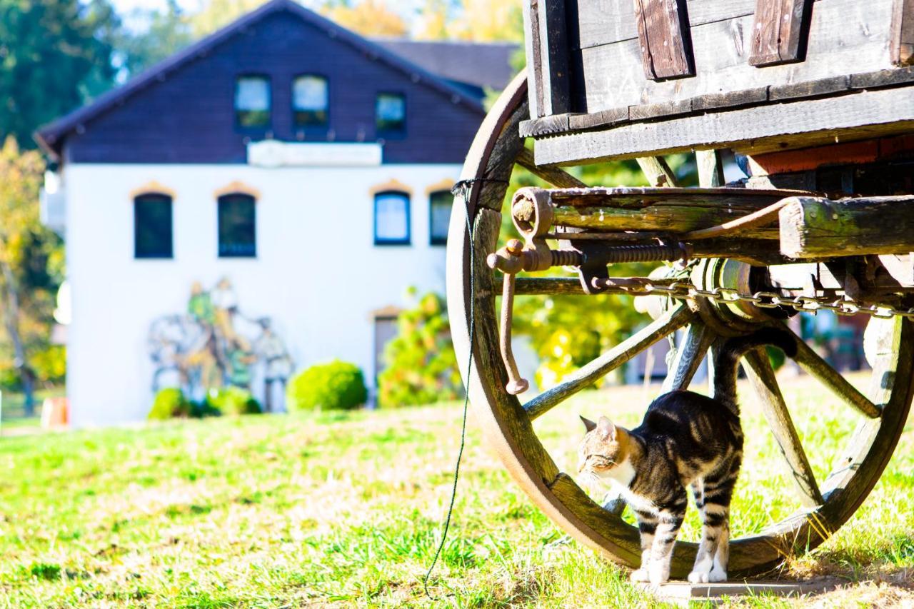 Pension Haus Fuerstenberg Beierfeld Exteriér fotografie